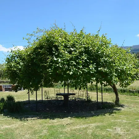 Bed & Breakfast Veda 4*