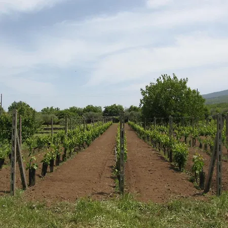 Veda Bed & Breakfast Randazzo