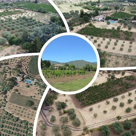 Veda Bed & Breakfast Randazzo