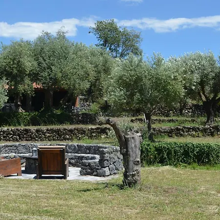 Veda Bed & Breakfast Randazzo