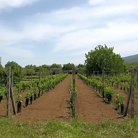 Veda 4* Randazzo